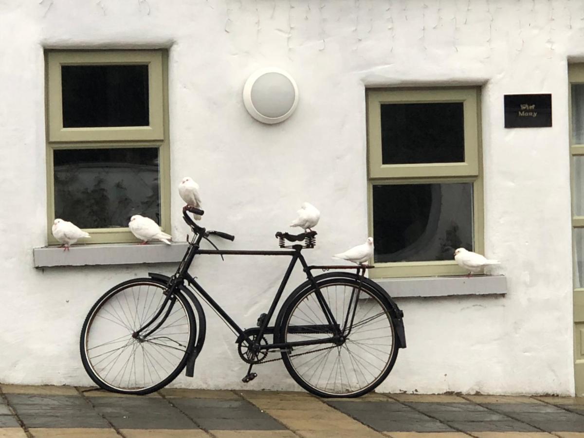 The Carriage Houses At Beechpark House Bunratty ภายนอก รูปภาพ
