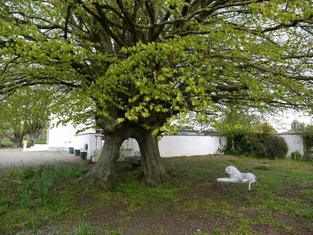 The Carriage Houses At Beechpark House Bunratty ภายนอก รูปภาพ